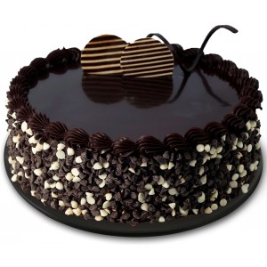 Double Choclate Cake